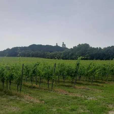 Kraków-bielany